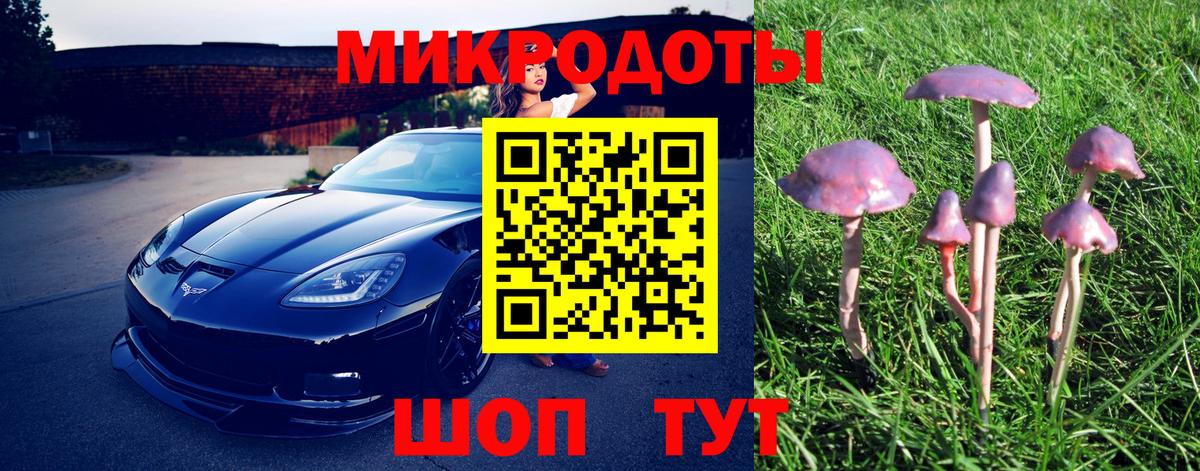 купить   Вход с VPN  Галлюциногенные грибы мухоморы  Шахты  Галлюциногенные грибы прущие грибы 