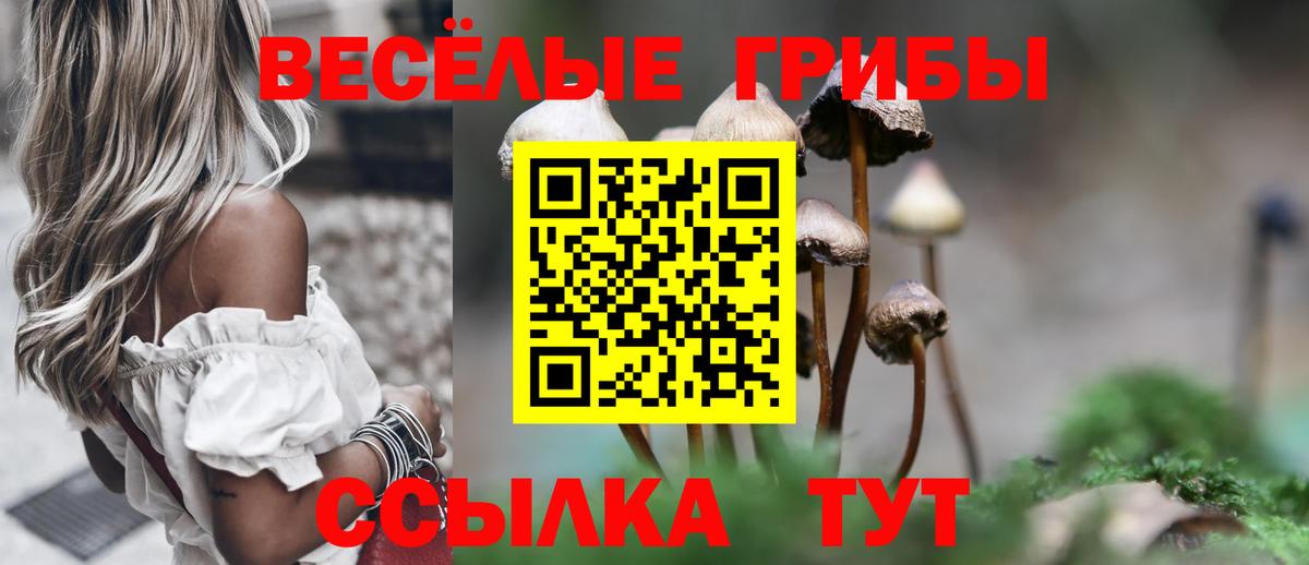 АМФЕТАМИН Шахты